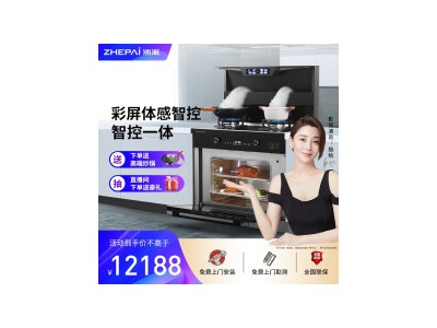 浙派（ZHEPΛi）Z16 蒸烤一体集成灶