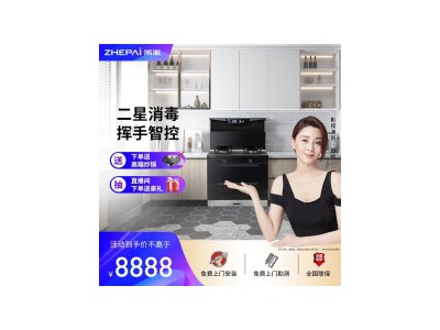 浙派（ZHEPΛi）Z15 集成灶 二星消