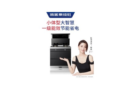 浙派（ZHEPΛi） 75Z6 小户型750家