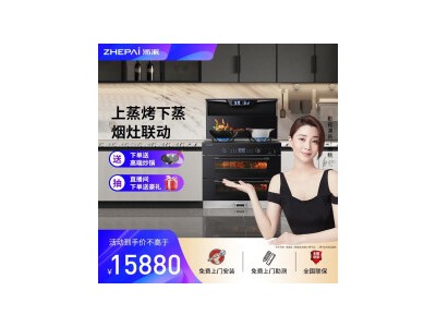 浙派（ZHEPΛi）Z19 上蒸烤下蒸集成