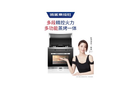 浙派（ZHEPΛi）ZP6ZK2 蒸烤一体集