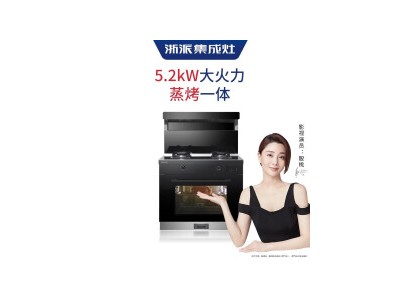 浙派（ZHEPΛi） Z21 蒸烤消一体集