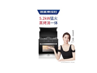浙派（ZHEPΛi）ZP18ZKX3变频蒸烤消