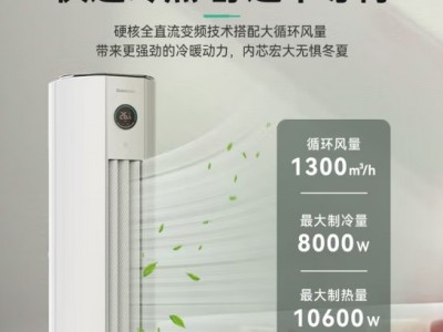 长虹（CHANGHONG）大3匹熊猫懒二代