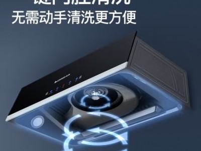 志高（CHIGO）油烟机 中式家用大吸